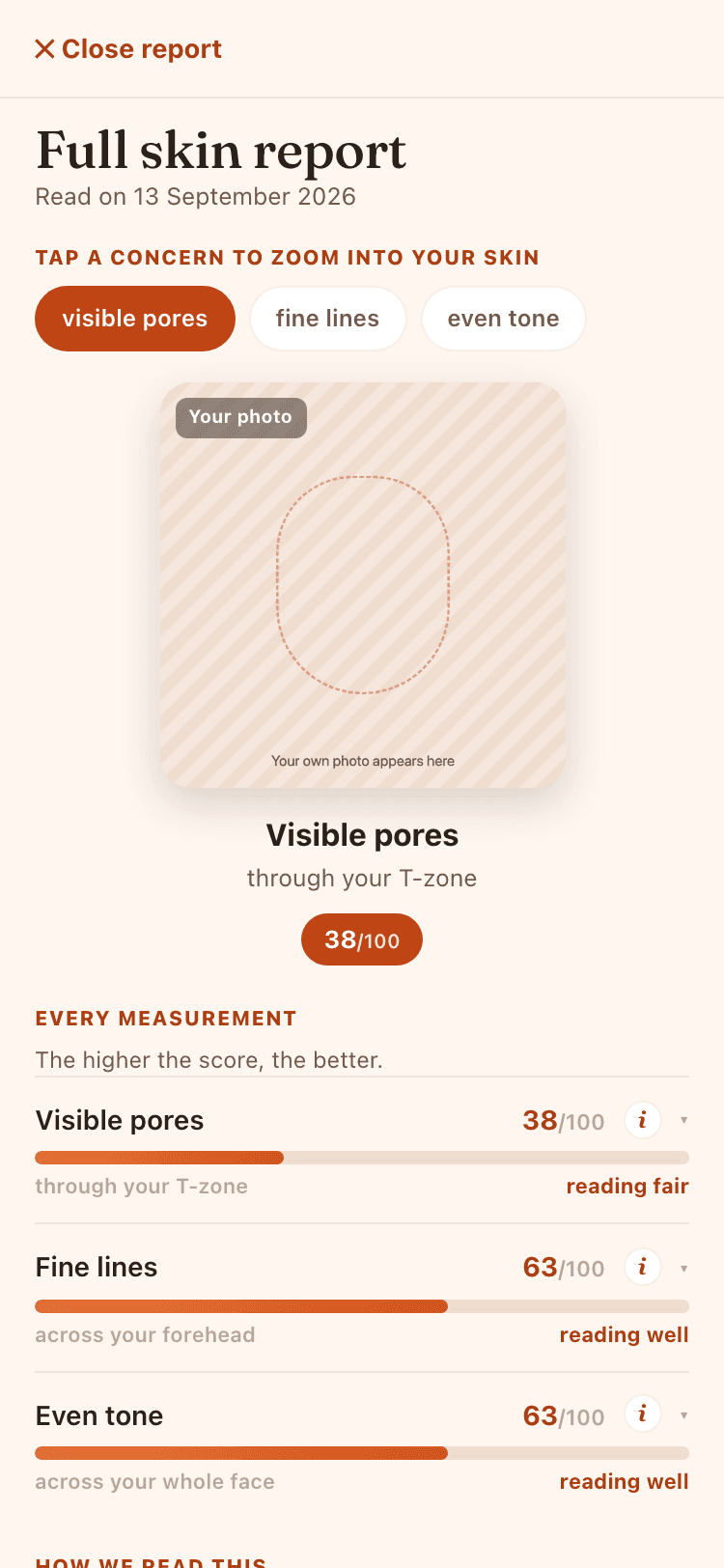 The skin report screen: the concern chips, a placeholder where your photo appears, and each concern scored out of 100.